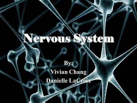 Nervous System By: Vivian Chang Danielle LaCroix.
