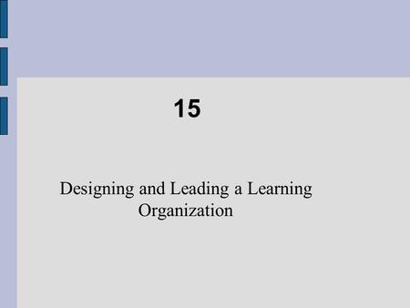 Designing and Leading a Learning Organization