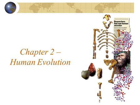 Chapter 2 – Human Evolution
