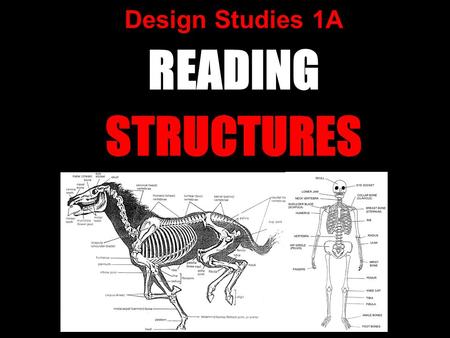 Design Studies 1A READING STRUCTURES.