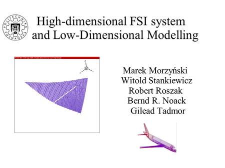 High-dimensional FSI system and Low-Dimensional Modelling