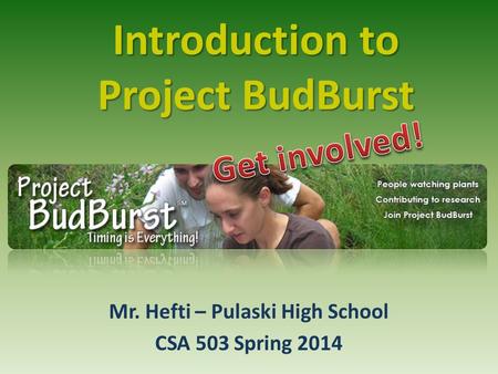 Introduction to Project BudBurst Mr. Hefti – Pulaski High School CSA 503 Spring 2014.