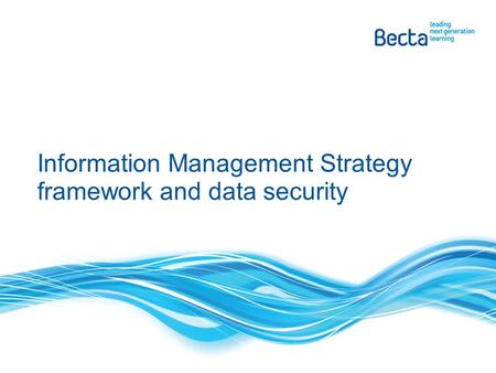 Information Management Strategy framework and data security