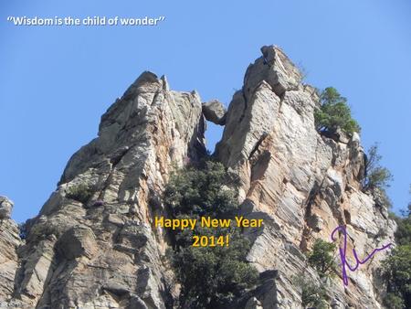 ‘’Wisdom is the child of wonder’’ Happy New Year 2014!