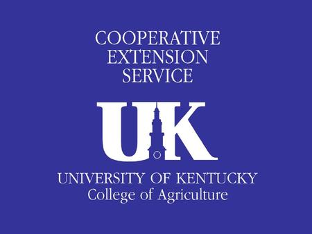 Agricultural Communications –Computing and IT Section - Service unit supporting Instruction, Research, and Extension - Staff of 14 information technology.