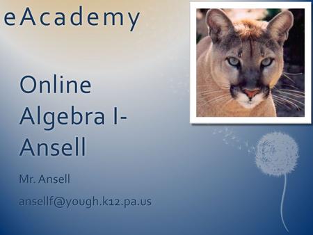 Online Algebra I- Ansell Mr. Ansell