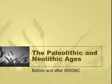 The Paleolithic and Neolithic Ages