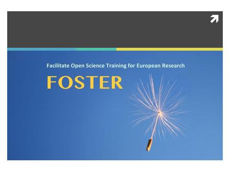 . The Foster Project  Intro  Partners  Project Objectives, Activities and Management  Final Remarks.