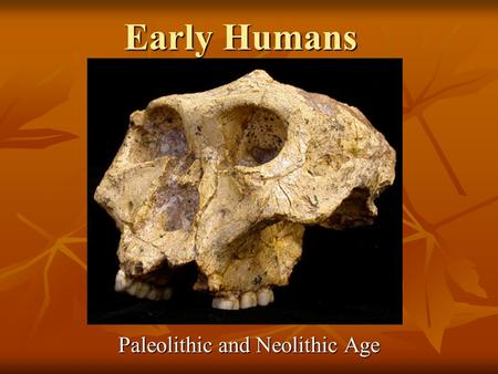 Paleolithic and Neolithic Age