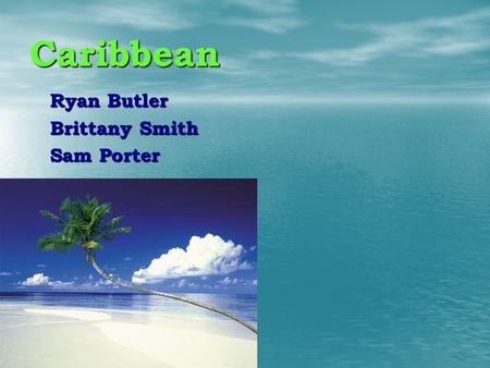 Caribbean Ryan Butler Brittany Smith Sam Porter. Caribbean Tourism Organization What Is The CTO? What Is The CTO? The Caribbean Tourism Organization (CTO)