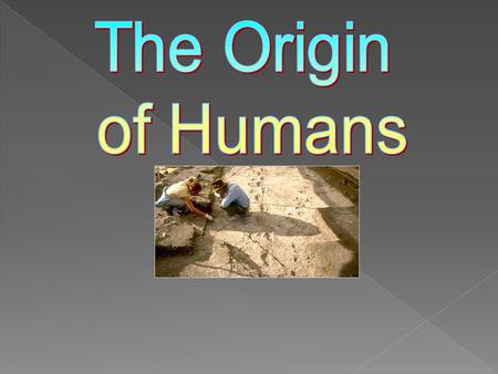 The Origin of Humans.