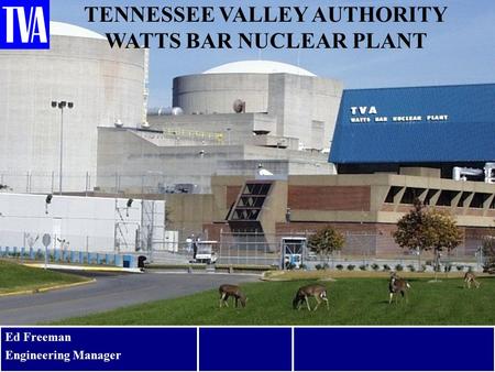 TENNESSEE VALLEY AUTHORITY WATTS BAR NUCLEAR PLANT Ed Freeman Engineering Manager 1.