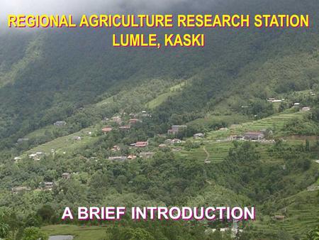 REGIONAL AGRICULTURE RESEARCH STATION