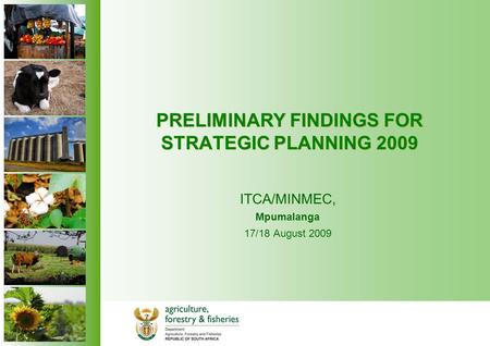 PRELIMINARY FINDINGS FOR STRATEGIC PLANNING 2009 ITCA/MINMEC, Mpumalanga 17/18 August 2009.