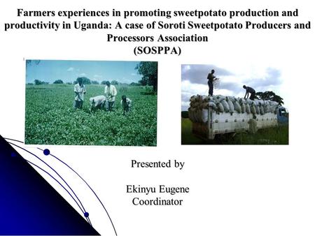 Farmers experiences in promoting sweetpotato production and productivity in Uganda: A case of Soroti Sweetpotato Producers and Processors Association (SOSPPA)