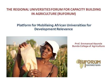 THE REGIONAL UNIVERSITIES FORUM FOR CAPACITY BUILDING IN AGRICULTURE (RUFORUM) Platform for Mobilising African Universities for Development Relevance Prof.
