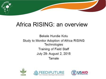 Africa RISING: an overview