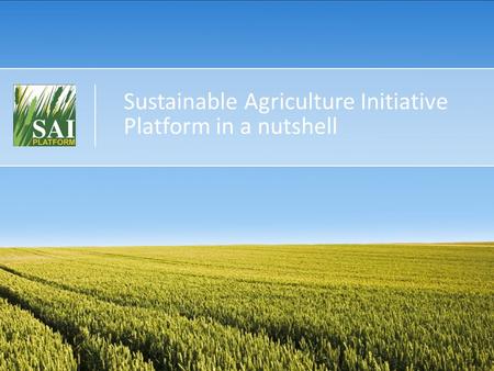 Sustainable Agriculture Initiative Platform in a nutshell