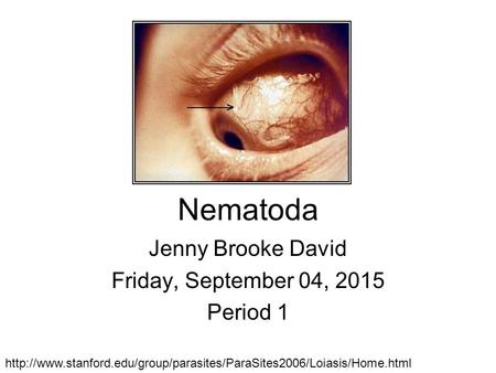 Jenny Brooke David Friday, April 21, 2017 Period 1