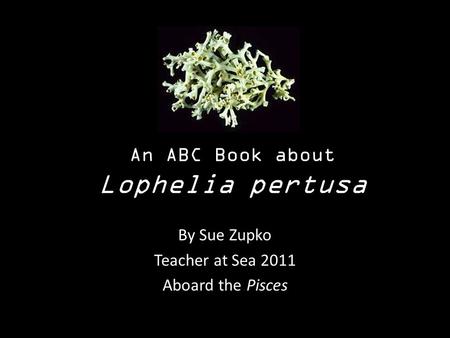An ABC Book about Lophelia pertusa By Sue Zupko Teacher at Sea 2011 Aboard the Pisces.