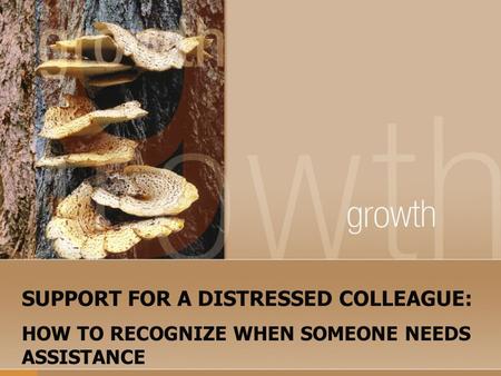 SUPPORT FOR A DISTRESSED COLLEAGUE: HOW TO RECOGNIZE WHEN SOMEONE NEEDS ASSISTANCE.