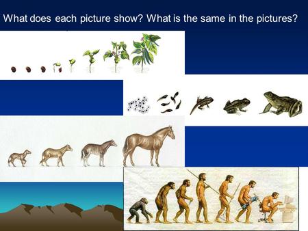 What does each picture show? What is the same in the pictures?