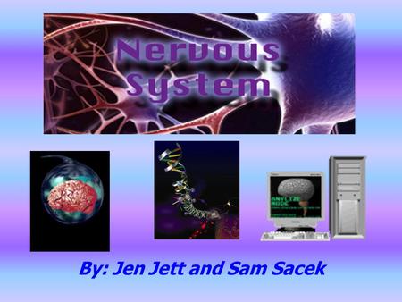 By: Jen Jett and Sam Sacek. Why is it important??? Communicate information and processes to causes it reaction in other parts of the body A network that.
