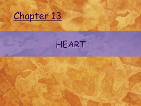 Chapter 13 HEART.