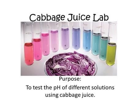 Cabbage Juice Lab Purpose: To test the pH of different solutions using cabbage juice.