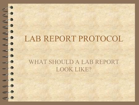WHAT SHOULD A LAB REPORT LOOK LIKE?