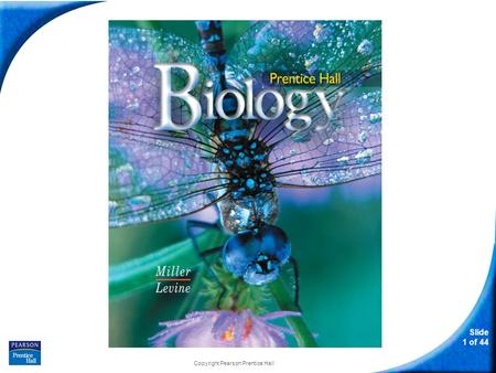 Slide 1 of 44 Copyright Pearson Prentice Hall Biology.