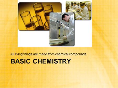 BASIC CHEMISTRY All living things are made from chemical compounds.