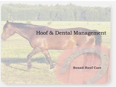 Hoof & Dental Management Sound Hoof Care. Objectives  COMPETENCY  EQ16.00- Determine management practices for sound hoof and dental care.  OBJECTIVE.