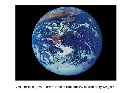 What makes up ¾ of the Earth’s surface and ¾ of your body weight?