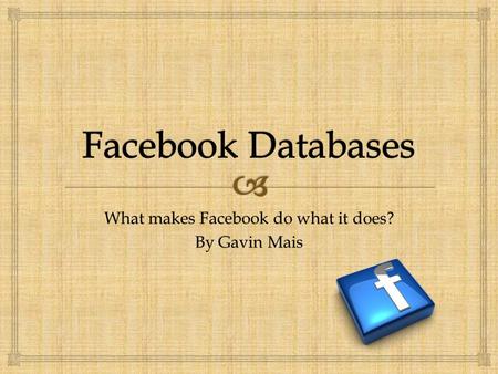 What makes Facebook do what it does? By Gavin Mais.