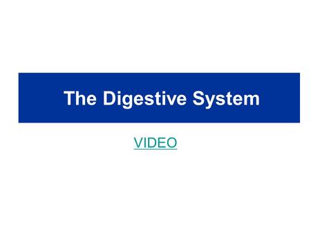 The Digestive System VIDEO. Food Processing Ingestion – eating or drinking Digestion – break down molecules to absorb –Hydrolysis: the process of breaking.