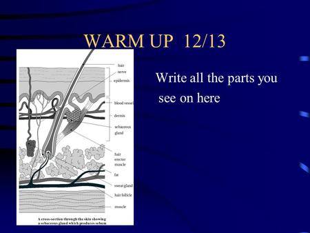 WARM UP 12/13 Write all the parts you see on here.