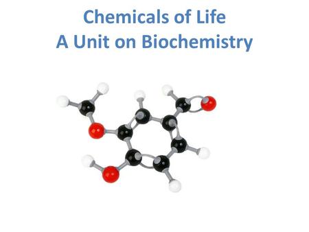 Chemicals of Life A Unit on Biochemistry. Important terms: Atoms: Basic building block of matter.