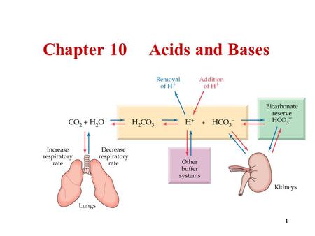 1 Chapter 10 Acids and Bases. 2 3 4 5  Arrhenius acids  Produce H + ions in water. H 2 O HCl H + (aq) + Cl – (aq)  Are electrolytes.  Have a sour.