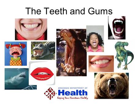 The Teeth and Gums. What are they good for? Talking Talking Office of Oral Health.