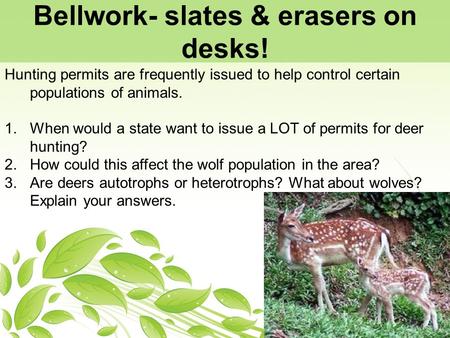 Bellwork- slates & erasers on desks! Hunting permits are frequently issued to help control certain populations of animals. 1.When would a state want to.