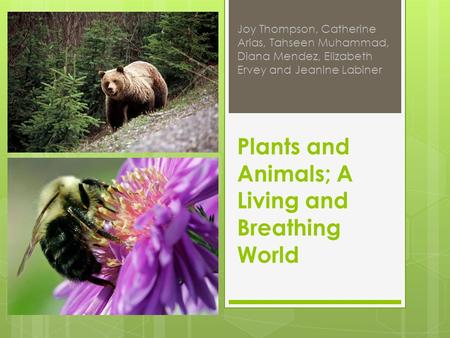 Plants and Animals; A Living and Breathing World