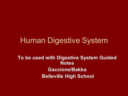 Human Digestive System To be used with Digestive System Guided Notes Gaccione/Bakka Belleville High School.