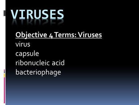 Objective 4 Terms: Viruses virus capsule ribonucleic acid bacteriophage.