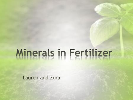 Lauren and Zora. What minerals differ between organic and non-organic fertilizers?