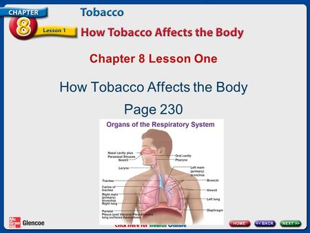 How Tobacco Affects the Body Page 230