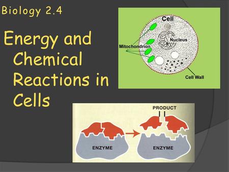 Energy and Chemical Reactions in Cells