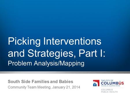 Picking Interventions and Strategies, Part I: Problem Analysis/Mapping South Side Families and Babies Community Team Meeting, January 21, 2014.