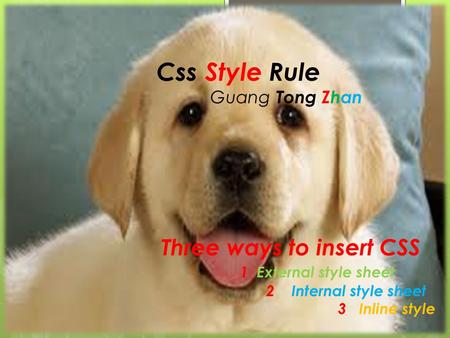 CSS Style Rules Guang Tong, Zhan L;lo’p[ Css Style Rule Guang Tong Zhan Three ways to insert CSS 1 External style sheet 2 Internal style sheet 3 Inline.