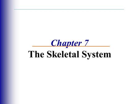 Chapter 7 The Skeletal System